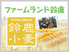 「月刊/鈴鹿なう！」2012年11月号 NPO法人ファームランド鈴鹿「鈴鹿小麦を作って食べよう！」